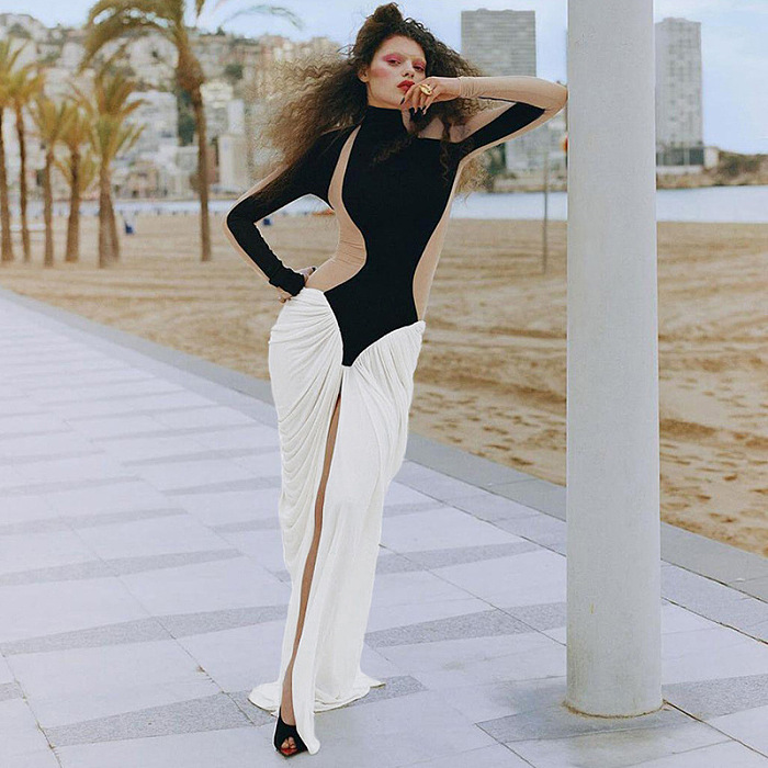 SUPER WHOLESALE | Half High Neck Long Sleeve Color-Block Pleated Dress