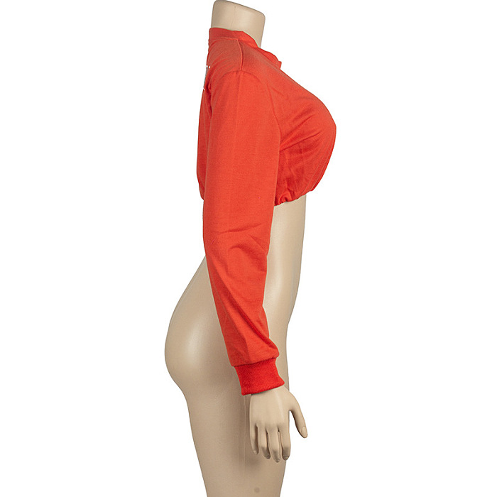 SUPER WHOLESALE |Solid Color Round-Neck Cropped Sweatshirt With Embroidered Lettering