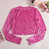 SUPER WHOLESALE | Cropped Fitted Mesh Velvet T-Shirt
