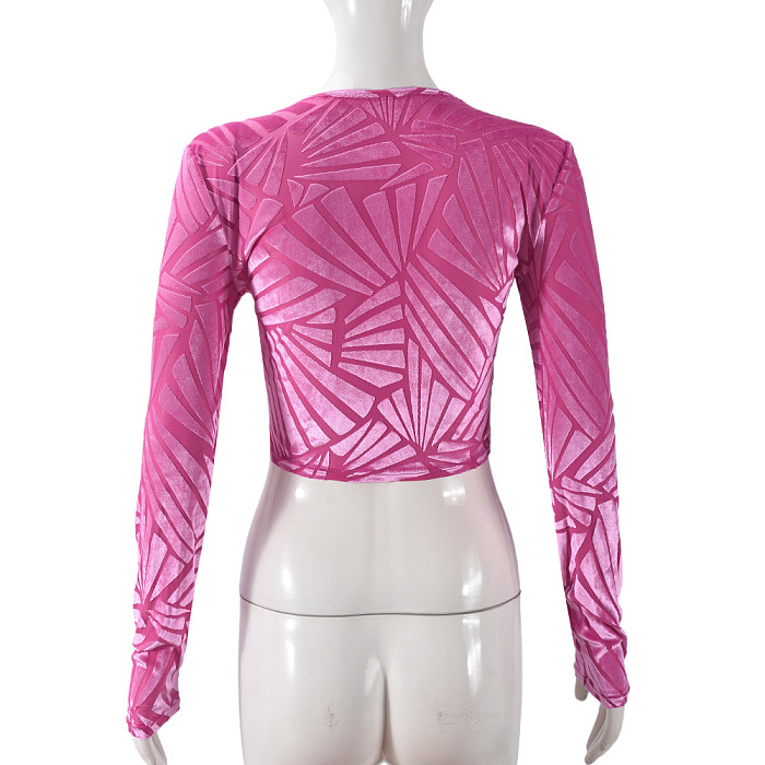 SUPER WHOLESALE | Cropped Fitted Mesh Velvet T-Shirt