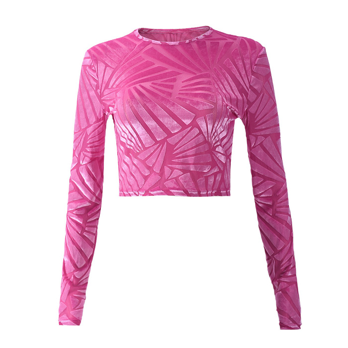 SUPER WHOLESALE | Cropped Fitted Mesh Velvet T-Shirt