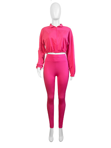 SUPER WHOLESALE | Zipper Elastic Waist-Cinched Drop-Shoulder Two-Piece Set