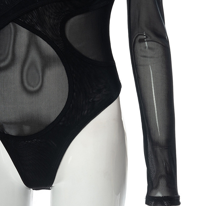 SUPER WHOLESALE |Mesh Sheer Fitted Long-Sleeve Bodysuit