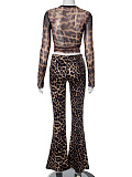 SUPER WHOLESALE | Leopard Print High-Waist Cropped Pants Set