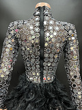 SUPER WHOLESALE | Diamond Lens Irregular Feather High-Neck Long Sleeve Evening Gown