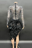 SUPER WHOLESALE | Diamond Lens Irregular Feather High-Neck Long Sleeve Evening Gown