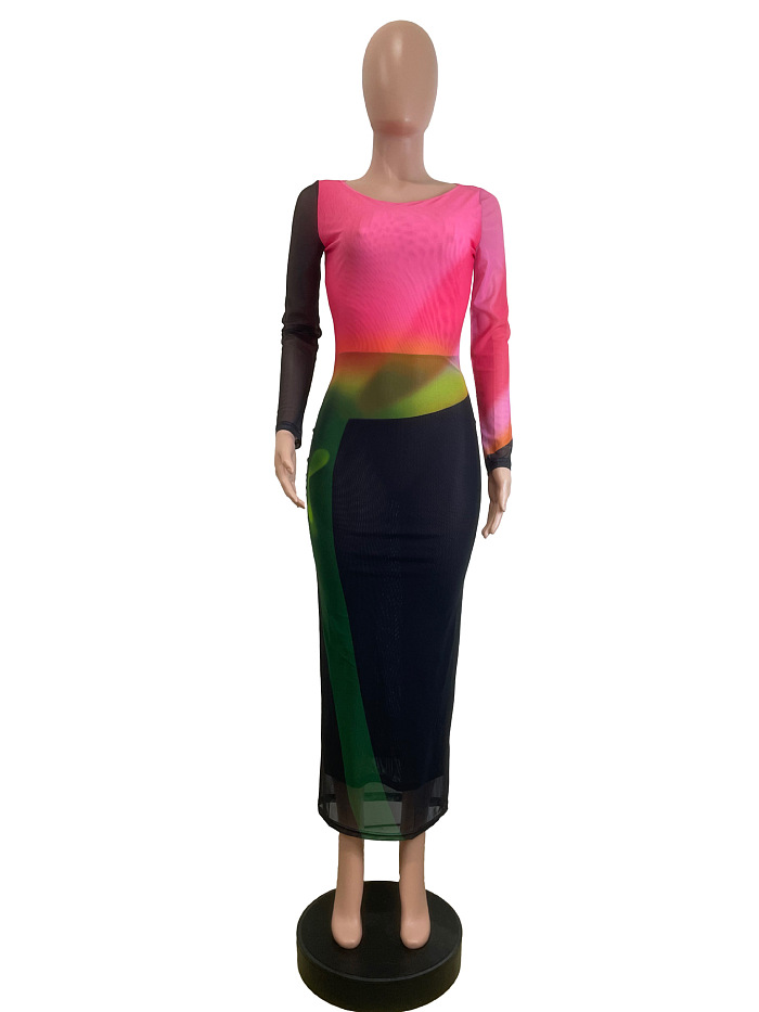 SUPER WHOLESALE | Mesh  Print Dress