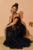 SUPER WHOLESALE | Titania One Shoulder Tulle Maxi Dress In Black