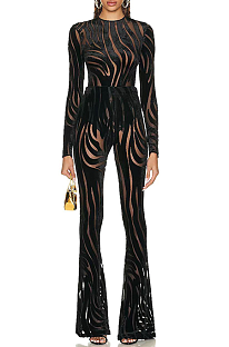 SUPER WHOLESALE | See through Zebra Pants Set