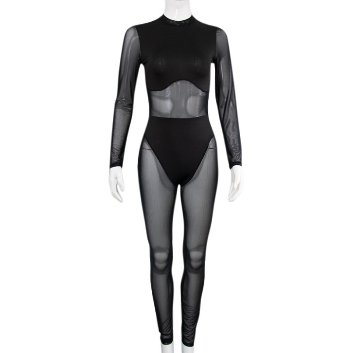 SUPER WHOLESALE | Mesh Full Body Jumpsuit