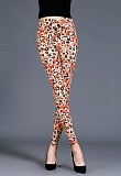 SUPER WHOLESALE | Leopard Printed Leggings