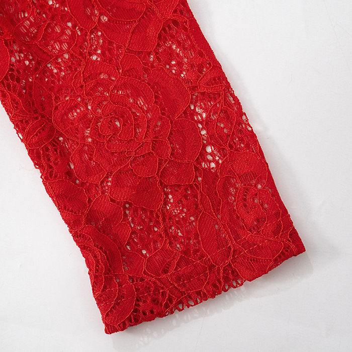 SUPER WHOLESALE | Stand Neck Lace Long Sleeve Back Zip Up Long Dress