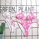 Printed  Bikini 2 Piece Swimwear