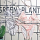 Printed  Bikini 2 Piece Swimwear