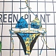 Printed  Bikini 2 Piece Swimwear