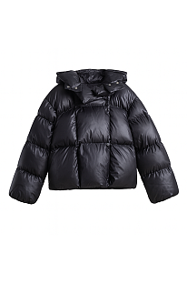 Hoodie Puffer Jacket
