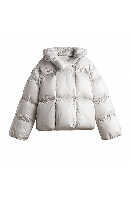Hoodie Puffer Jacket