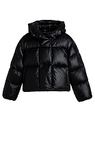 Hoodie Puffer Jacket