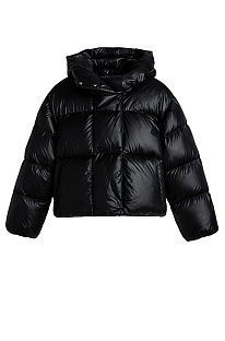 Hoodie Puffer Jacket