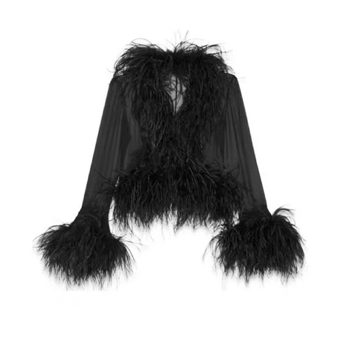 SUPER WHOLESALE| Feather See-through Top