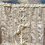 Vintage Lace Corset