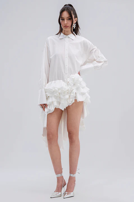 Shirt Dress