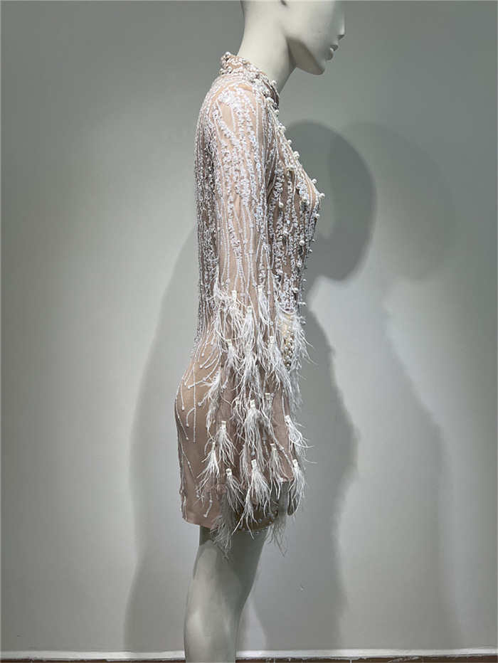 Long Sleeved Sheer Dress With Sequin Embellishments And Feather Accents - Beige