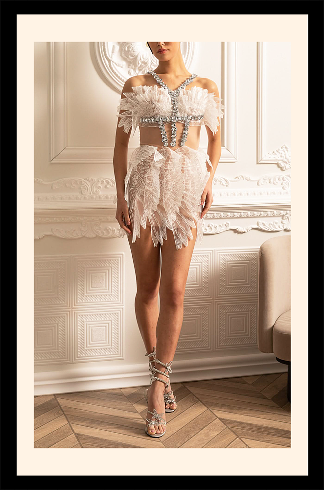 Ethereal Mini Dress With Sheer Wings Texture And Crystal Embellishments - White