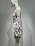 Long Sleeved Sheer Dress With Sequin Embellishments And Feather Accents - Beige