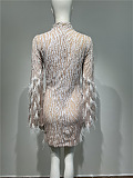 Long Sleeved Sheer Dress With Sequin Embellishments And Feather Accents - Beige