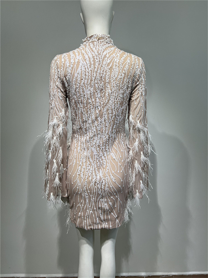 Long Sleeved Sheer Dress With Sequin Embellishments And Feather Accents - Beige