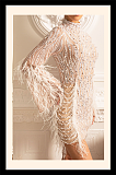 Long Sleeved Sheer Dress With Sequin Embellishments And Feather Accents - Beige