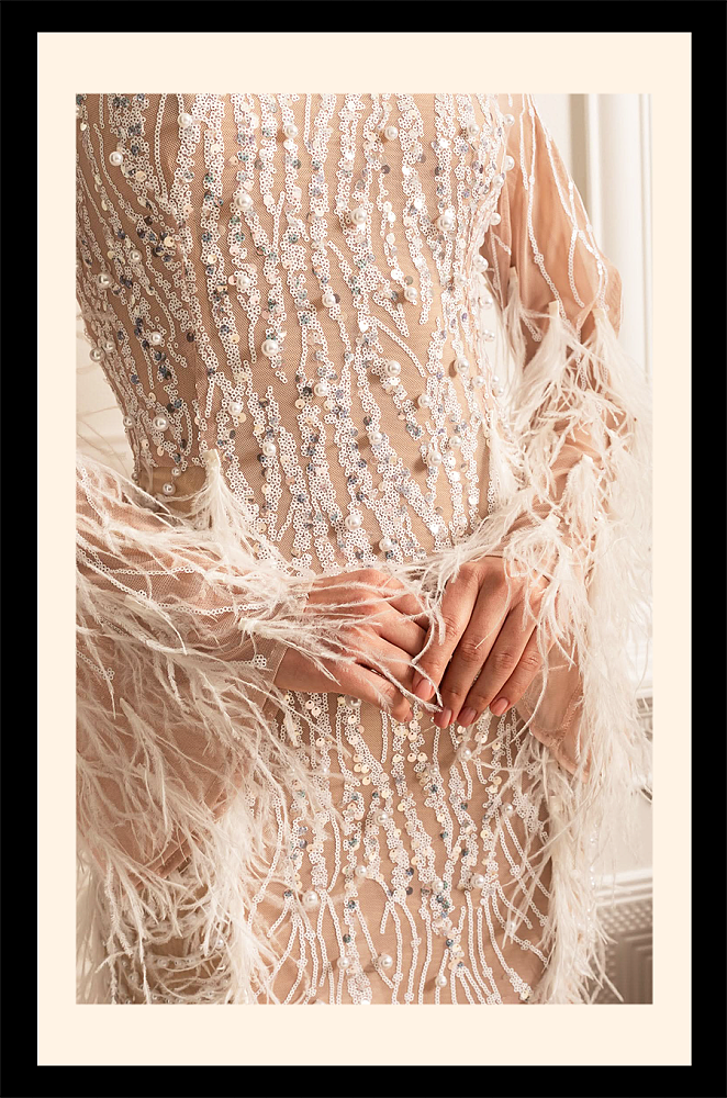 Long Sleeved Sheer Dress With Sequin Embellishments And Feather Accents - Beige