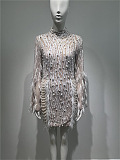 Long Sleeved Sheer Dress With Sequin Embellishments And Feather Accents - Beige