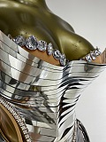 Metallic Corset Dress