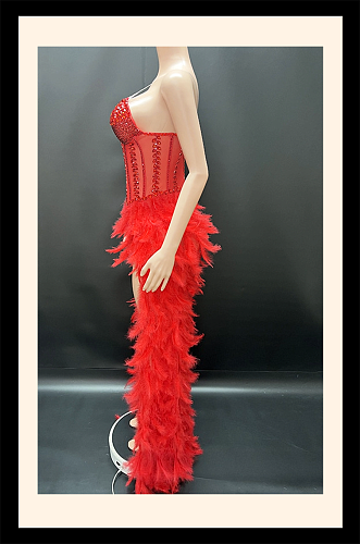 Feather Dress