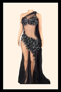 Evening, Birthday Dress