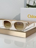 Oval Sunglasses