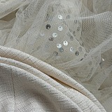 Sequins Evening Gown