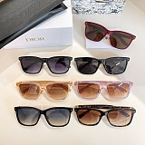 Square Sunglasses