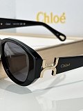 Oval Sunglasses