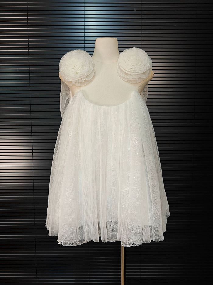 Chiffon Mini Dress