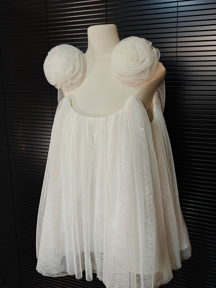 Chiffon Mini Dress