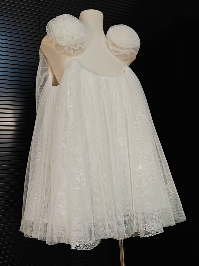 Chiffon Mini Dress