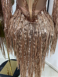 Sequins Fringe Evening Dress
