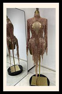 Sequins Fringe Evening Dress