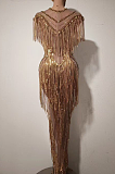 Fringes Party Dress