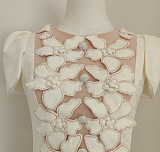 Elegant Embroidered Mini Dress