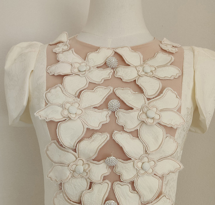 Elegant Embroidered Mini Dress