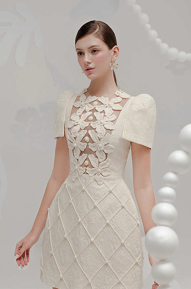 Elegant Embroidered Mini Dress